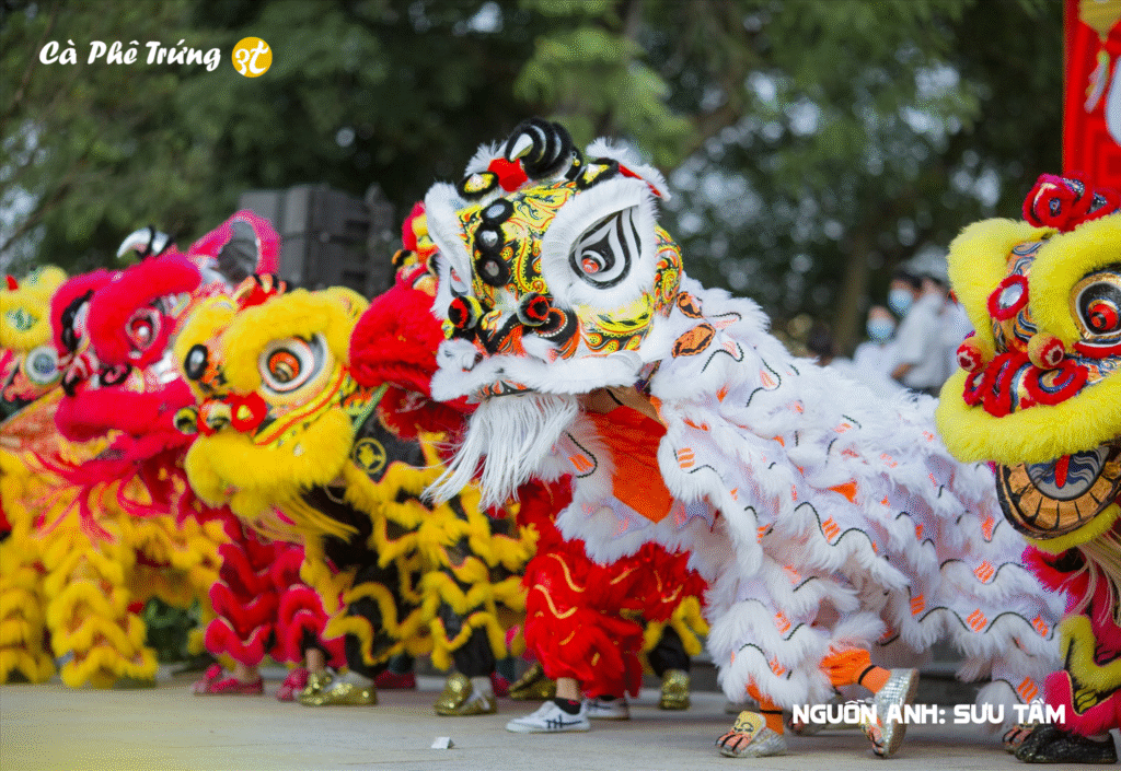 Múa lân và lễ hội đường phố