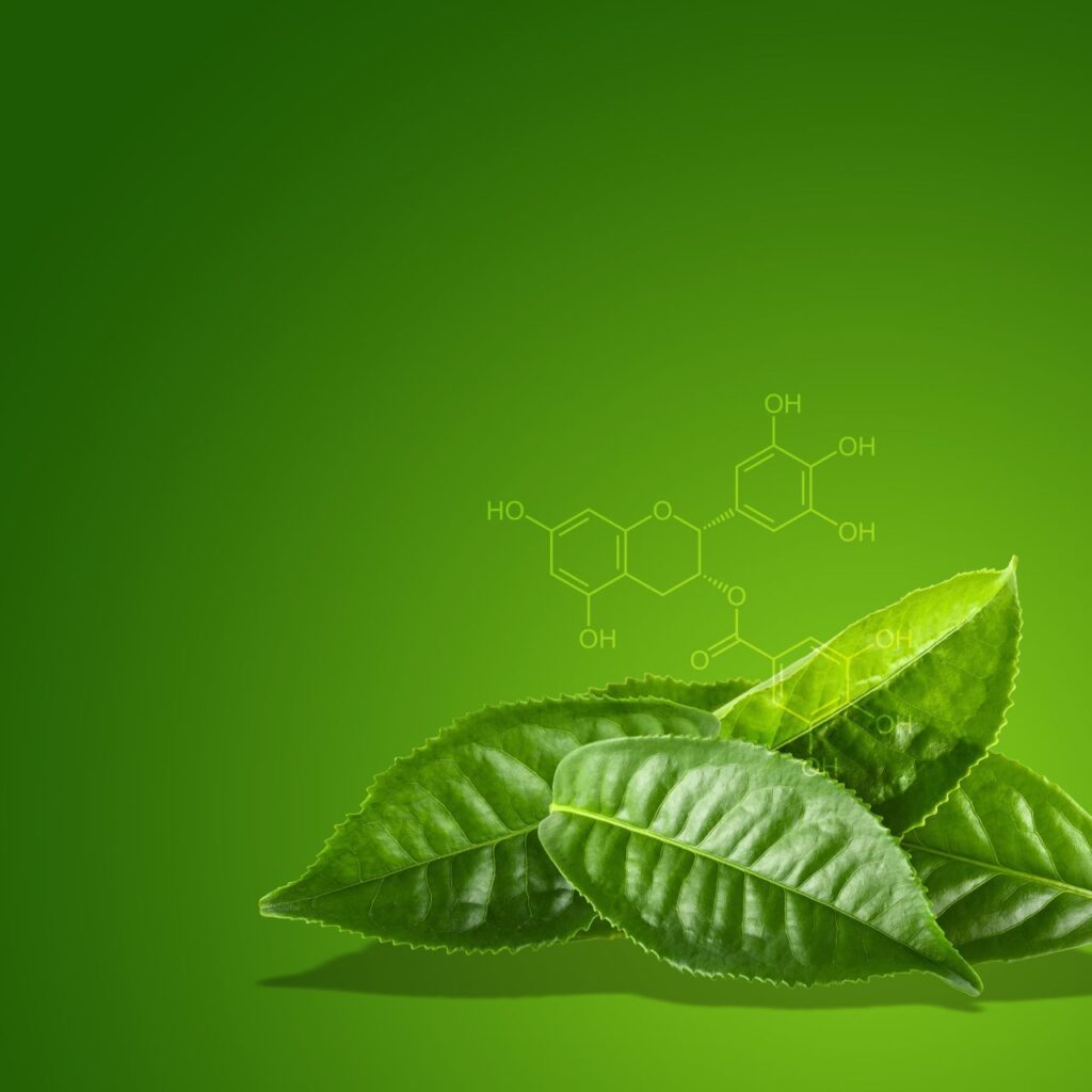 loi-ich-cua-matcha-cho-lan-da-va-suc-khoe (2)